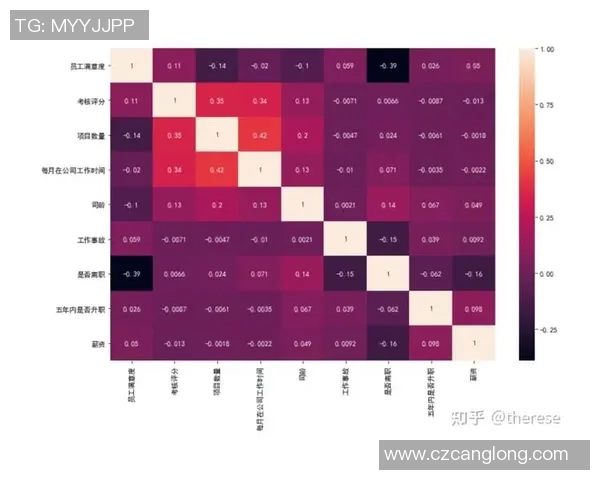 深圳排球队耐力表现数据分析与训练策略探讨